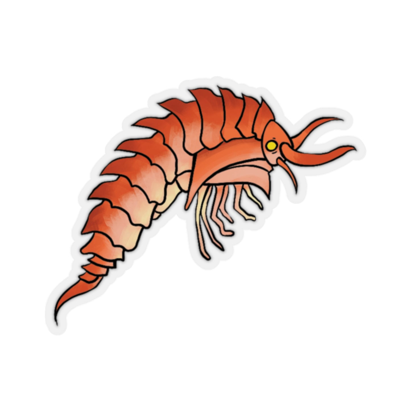 Epimaria Loricata ocean marine animal Kiss-Cut Sticker