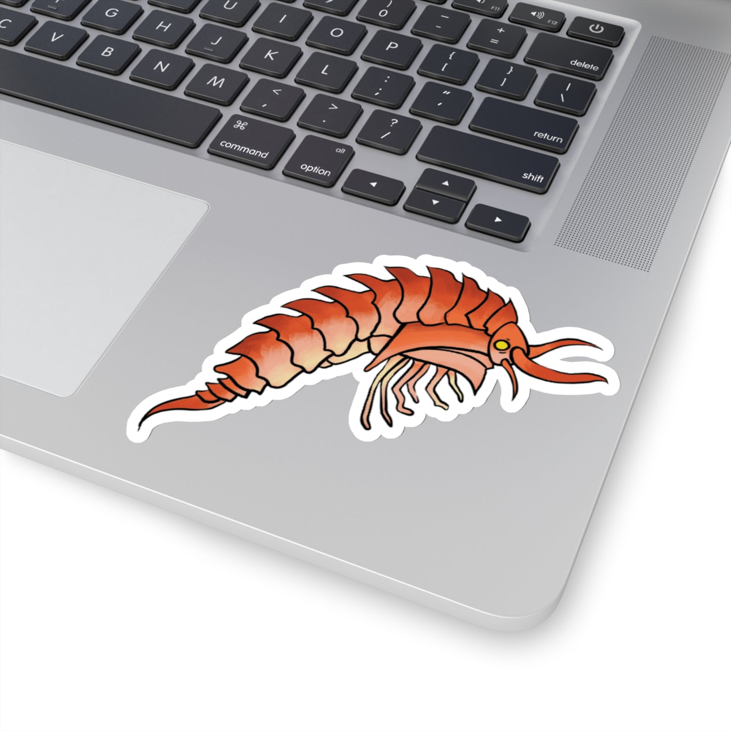 Epimaria Loricata ocean marine animal Kiss-Cut Sticker