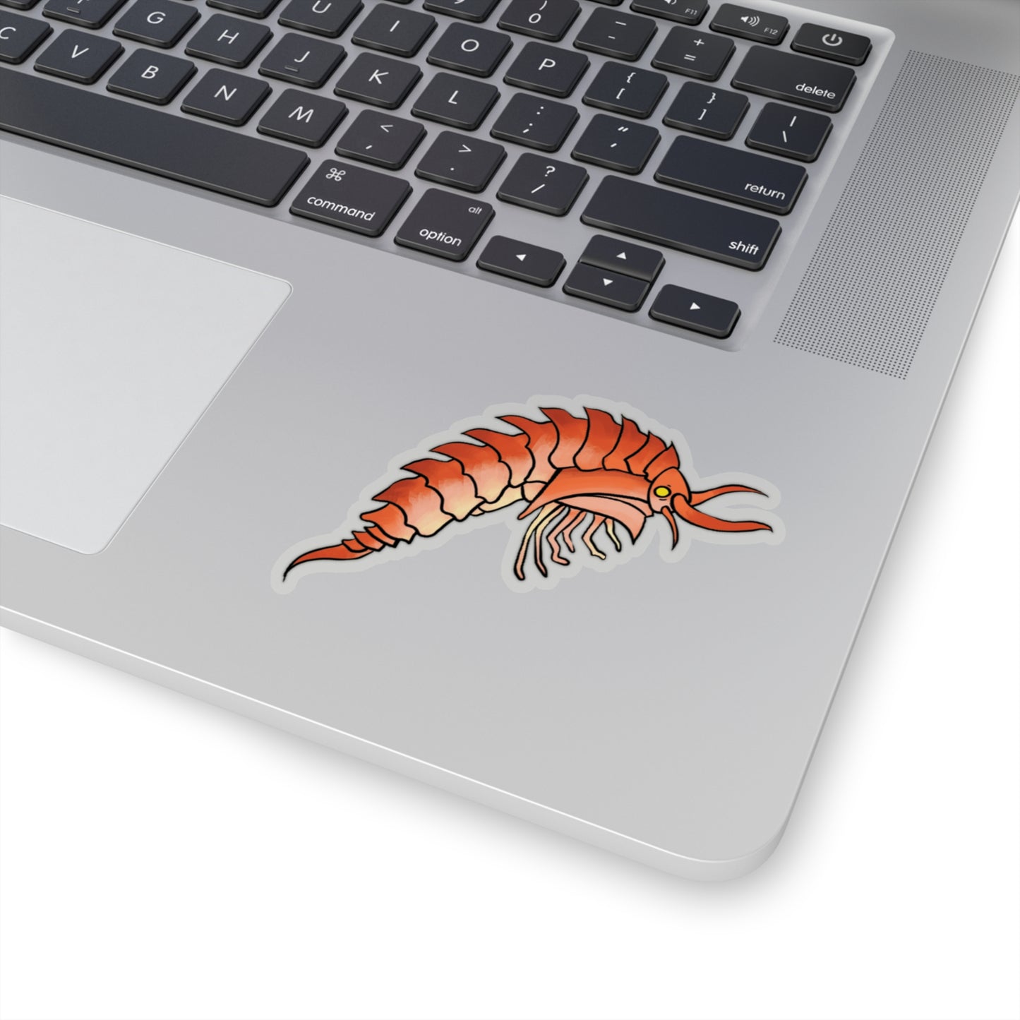 Epimaria Loricata ocean marine animal Kiss-Cut Sticker