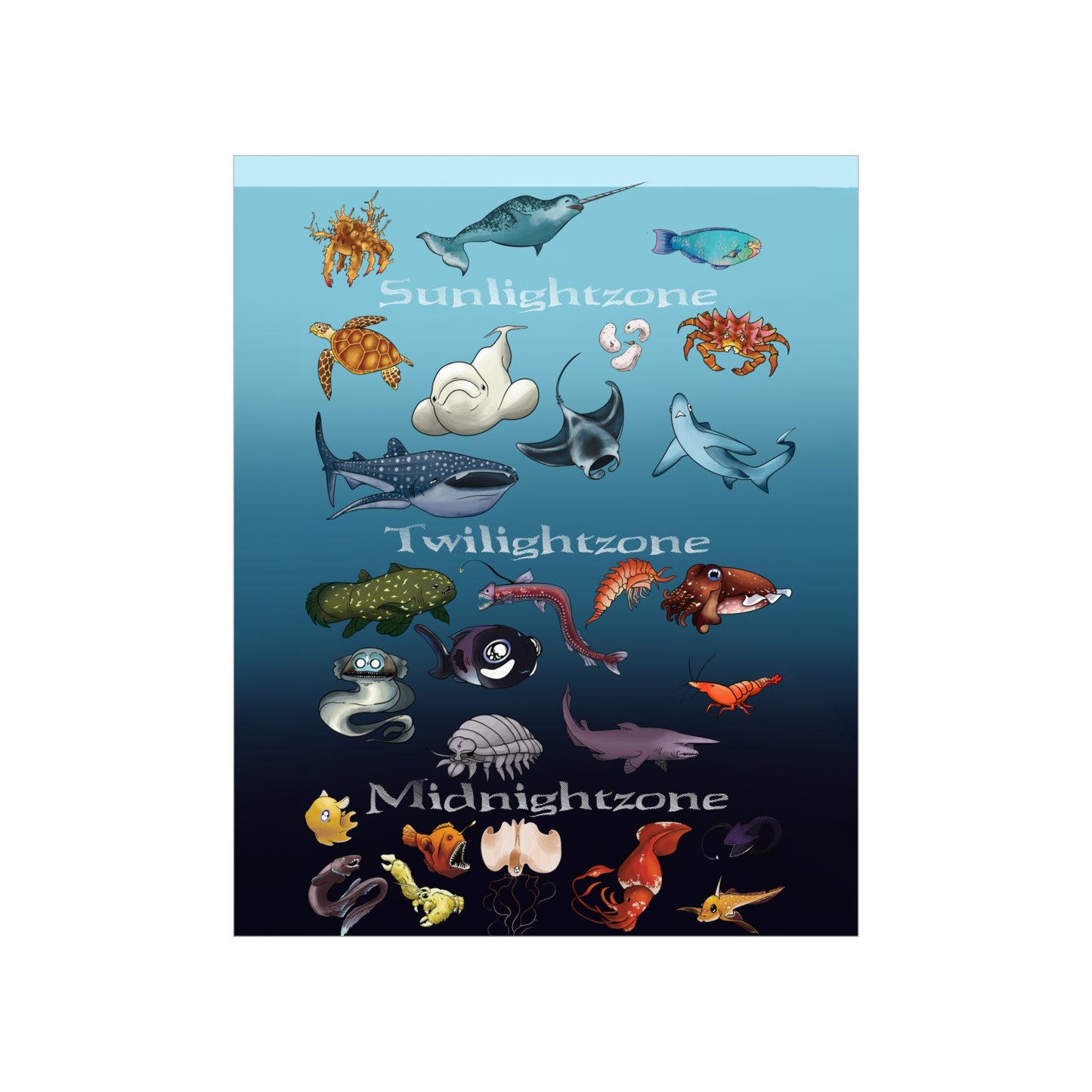 Ocean Zones Premium Matte Vertical Posters