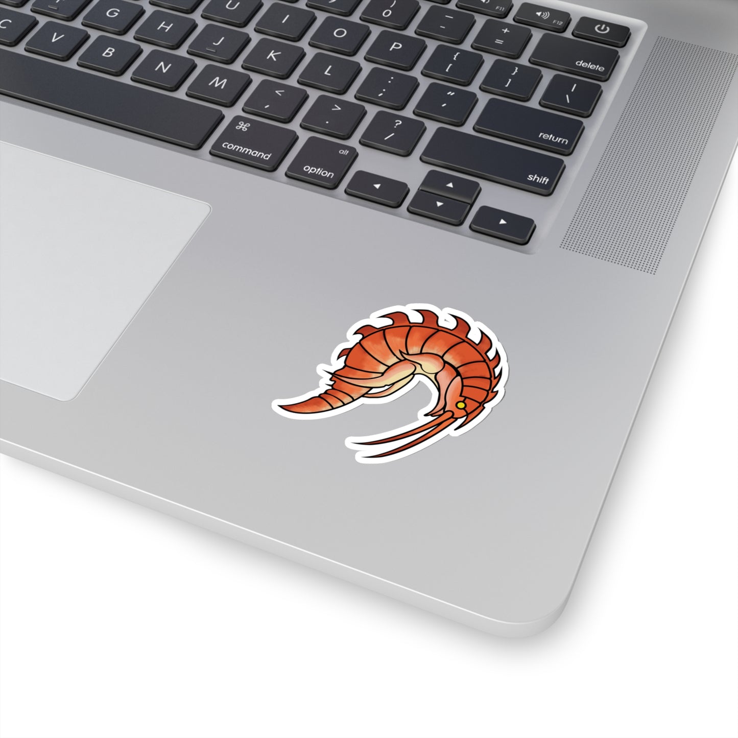 Epimaria Loricata ocean marine animal Kiss-Cut Sticker