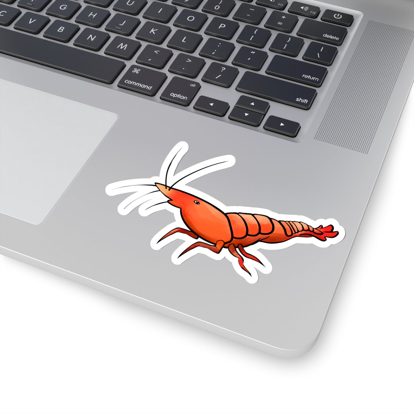 Little Shrimp ocean marine sea animal Kiss-Cut Sticker