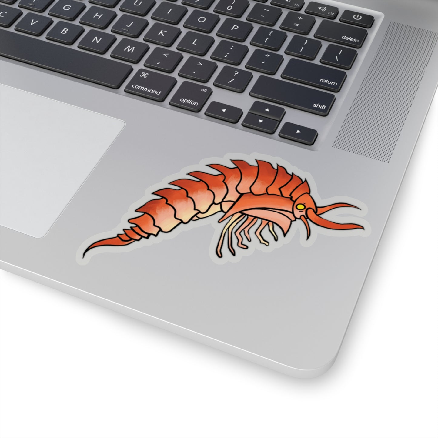 Epimaria Loricata ocean marine animal Kiss-Cut Sticker