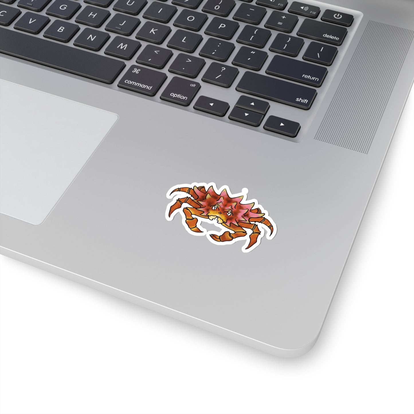 Crab heteronucia vesiculosa ocean marine sea animal Kiss-Cut Sticker