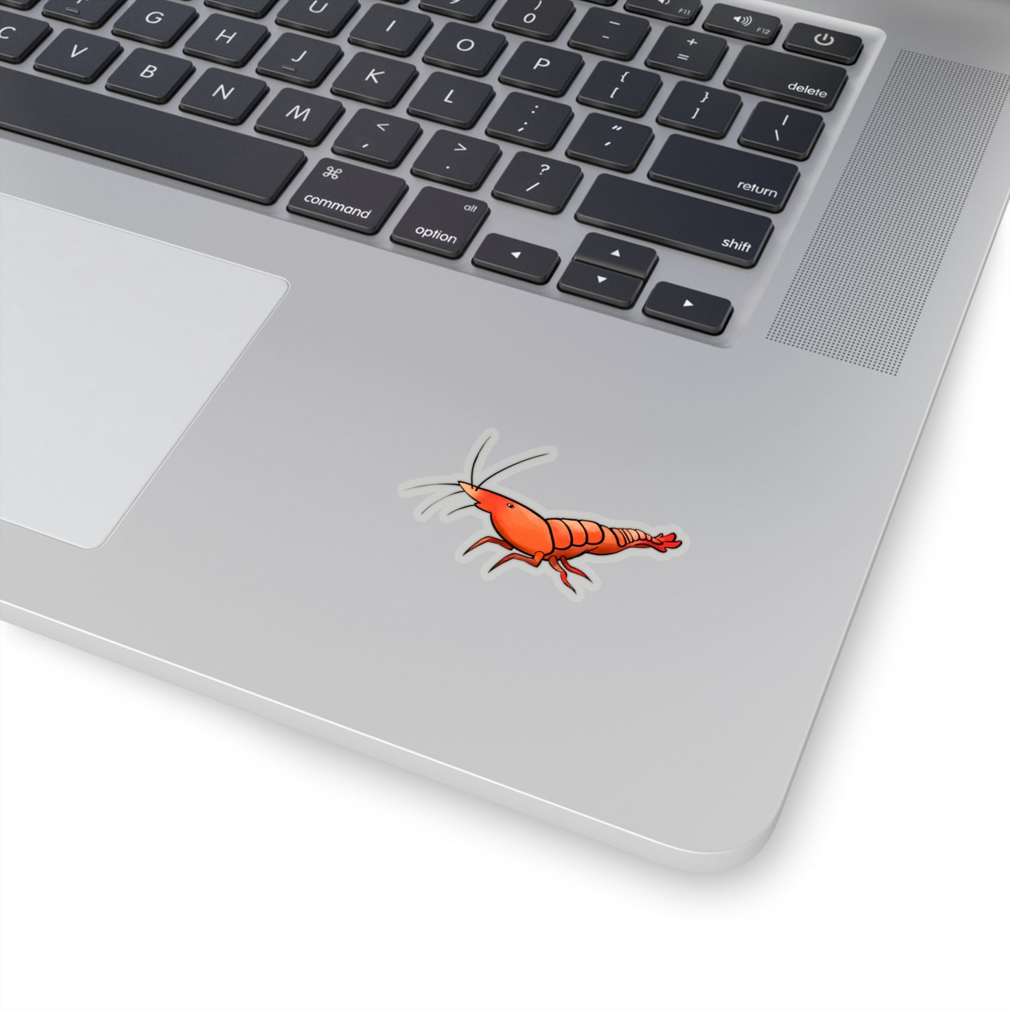 Little Shrimp ocean marine sea animal Kiss-Cut Sticker