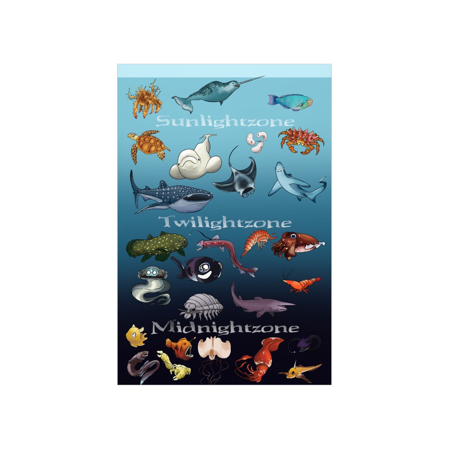 Ocean Zones Premium Matte Vertical Posters