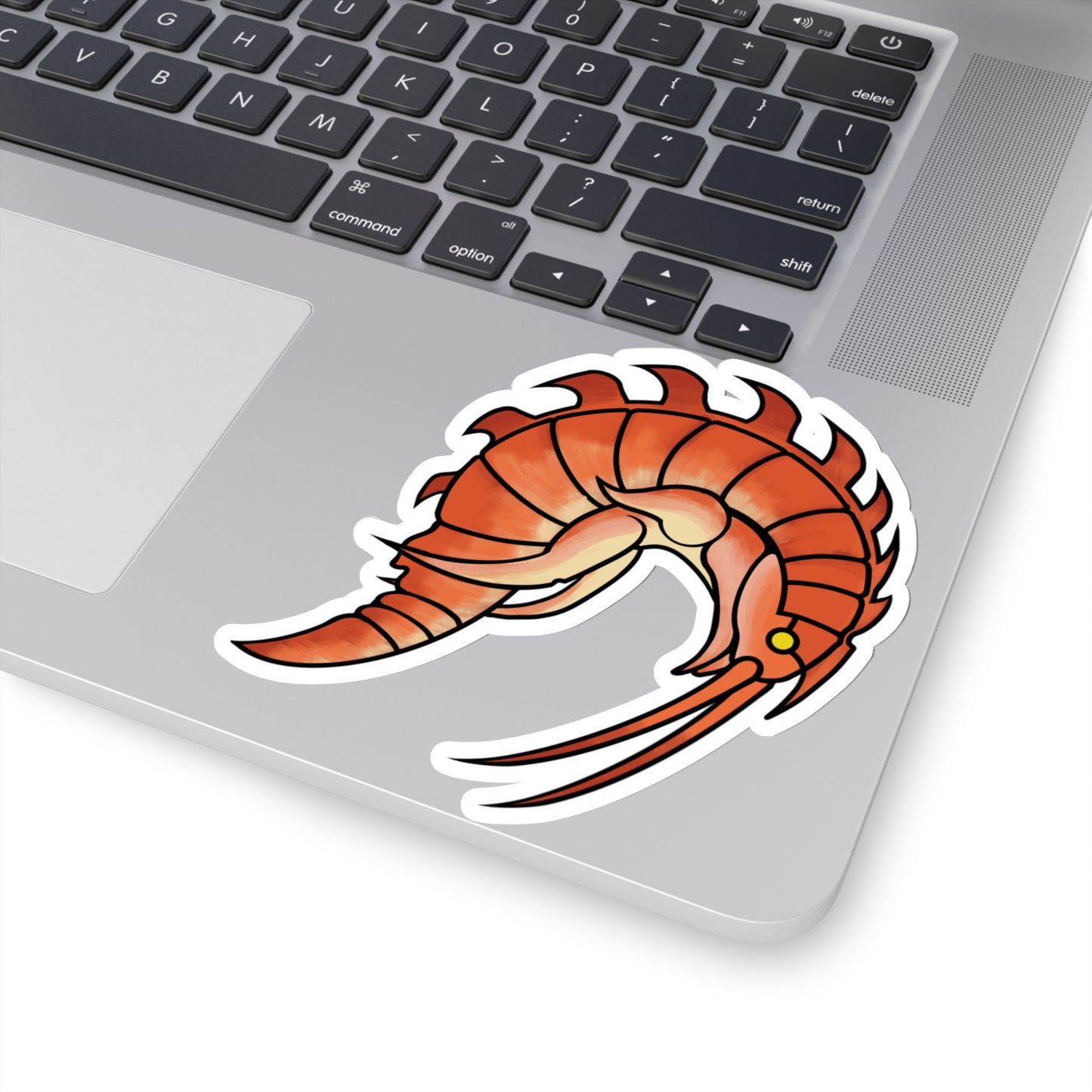 Epimaria Loricata ocean marine animal Kiss-Cut Sticker