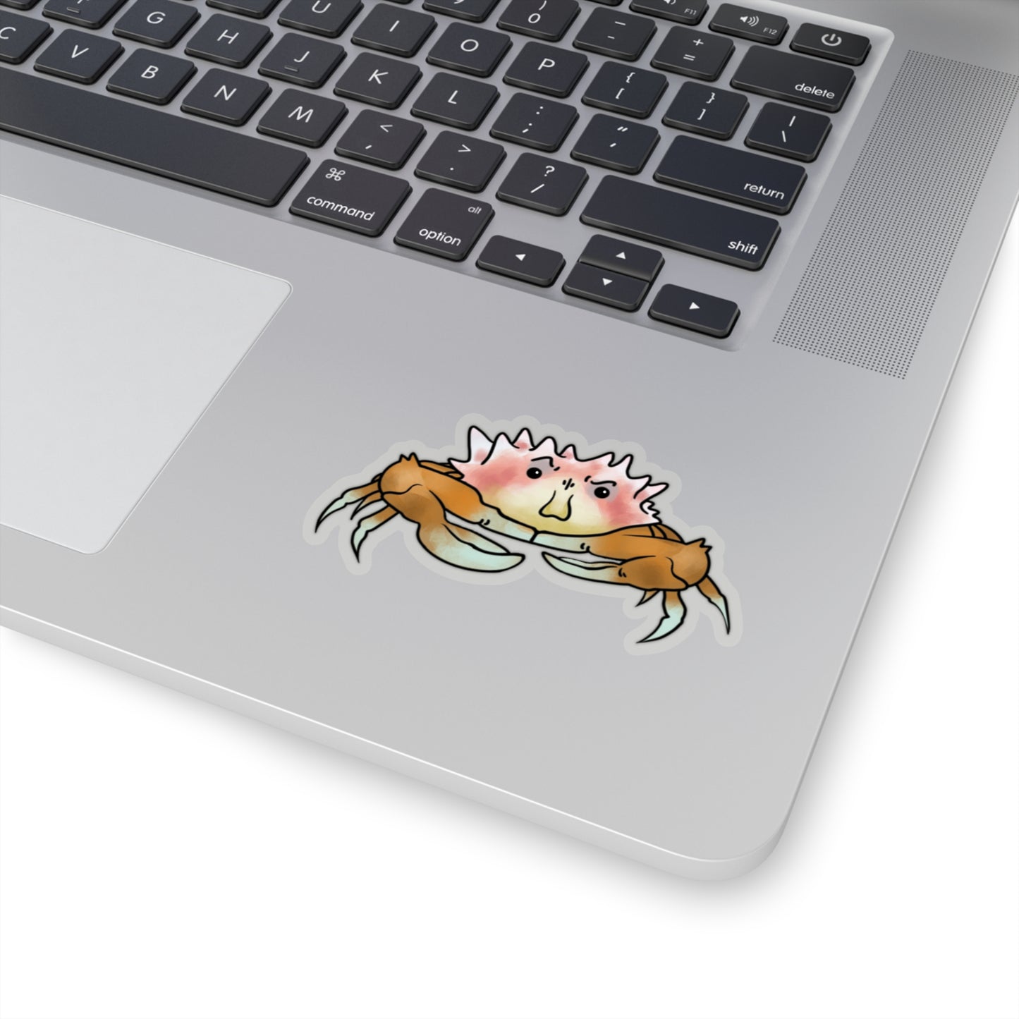 Crab heteronucia vesiculosa ocean marine sea animal Kiss-Cut Sticker
