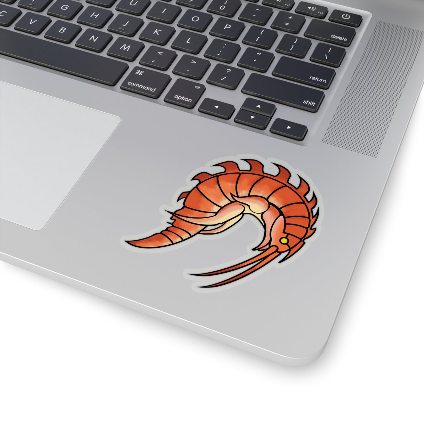 Epimaria Loricata ocean marine animal Kiss-Cut Sticker