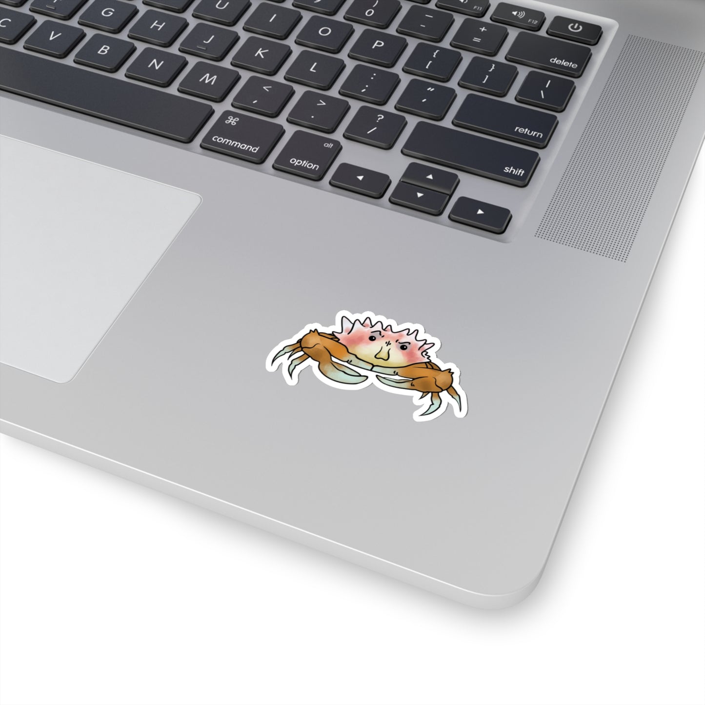 Crab heteronucia vesiculosa ocean marine sea animal Kiss-Cut Sticker