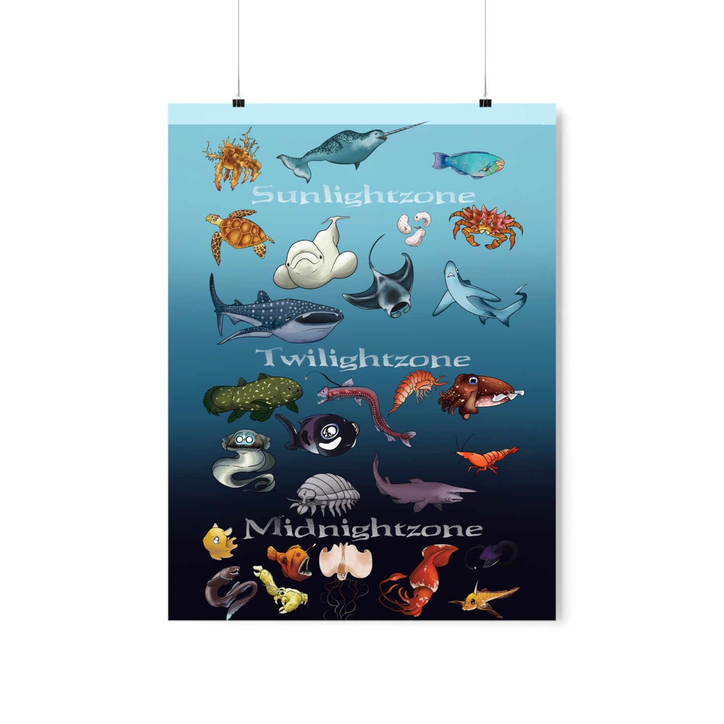 Ocean Zones Premium Matte Vertical Posters