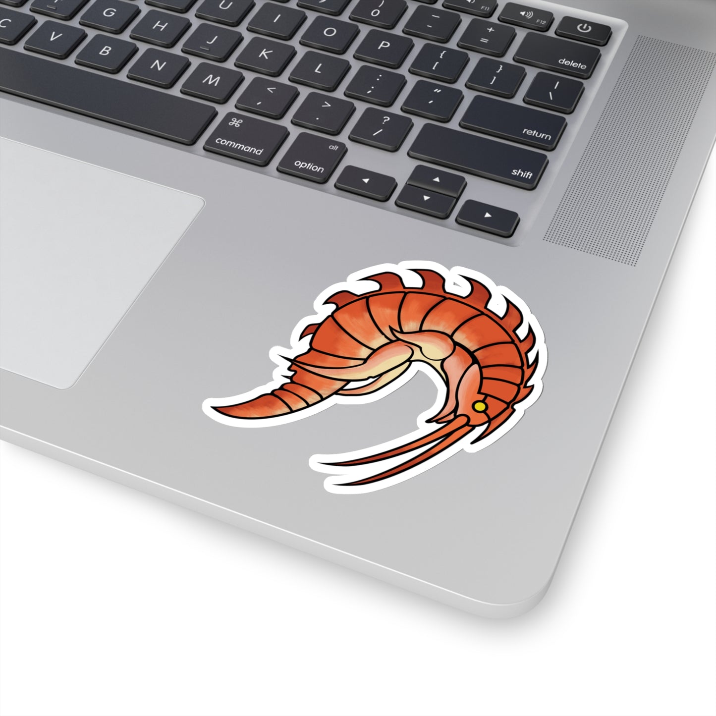 Epimaria Loricata ocean marine animal Kiss-Cut Sticker
