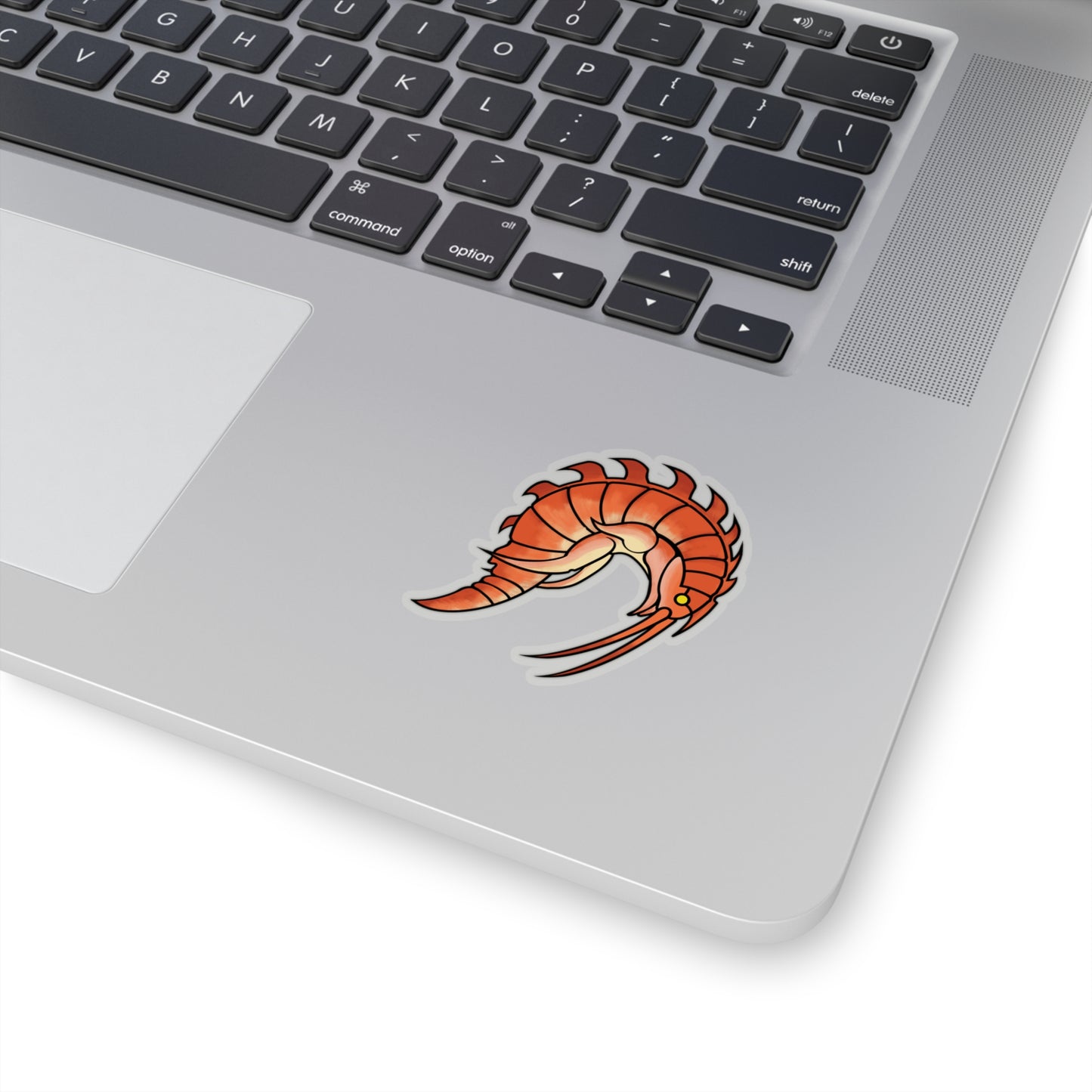 Epimaria Loricata ocean marine animal Kiss-Cut Sticker