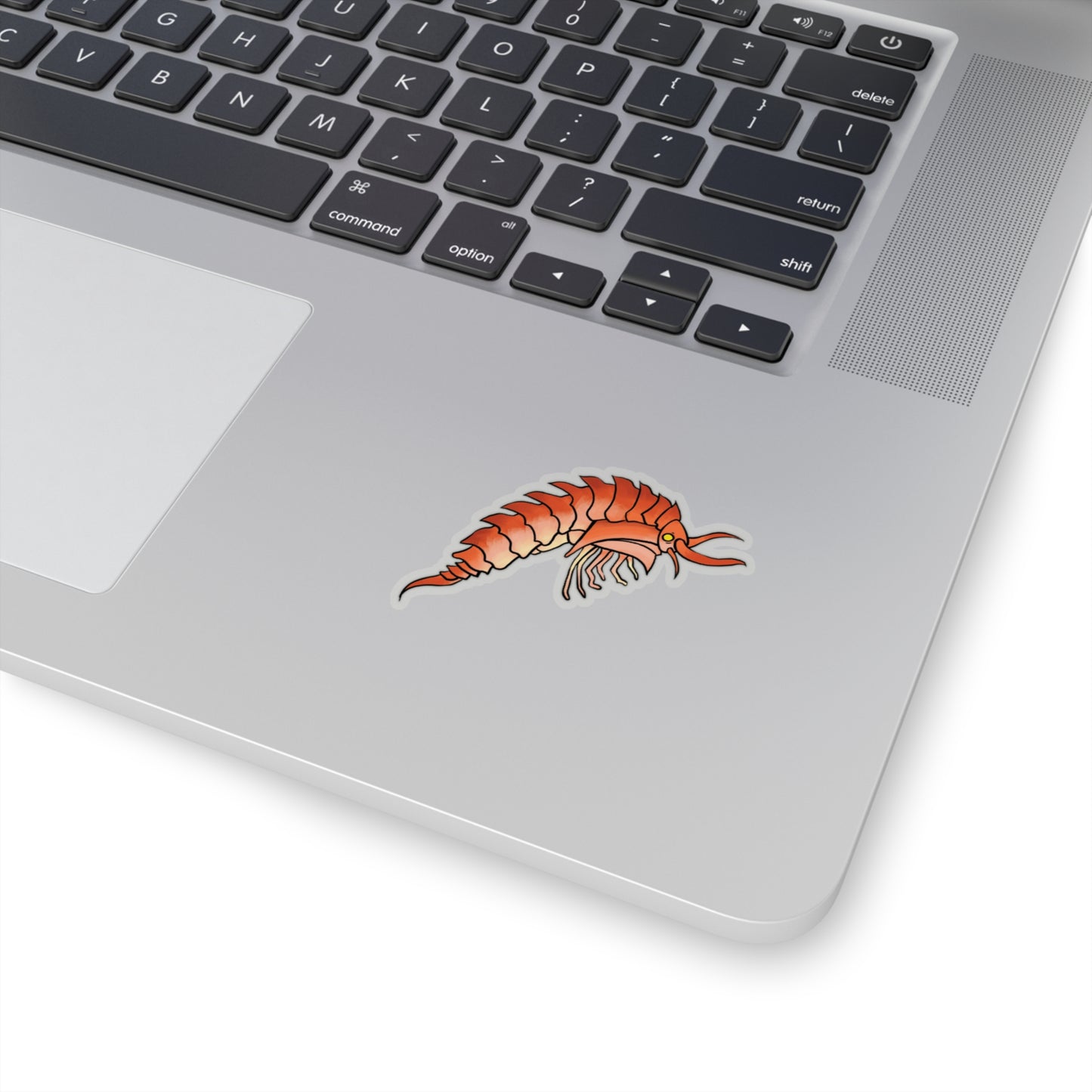 Epimaria Loricata ocean marine animal Kiss-Cut Sticker