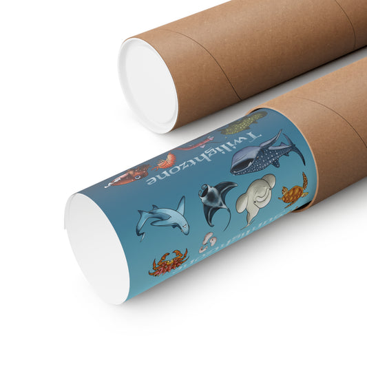 Ocean Zones Premium Matte Vertical Posters