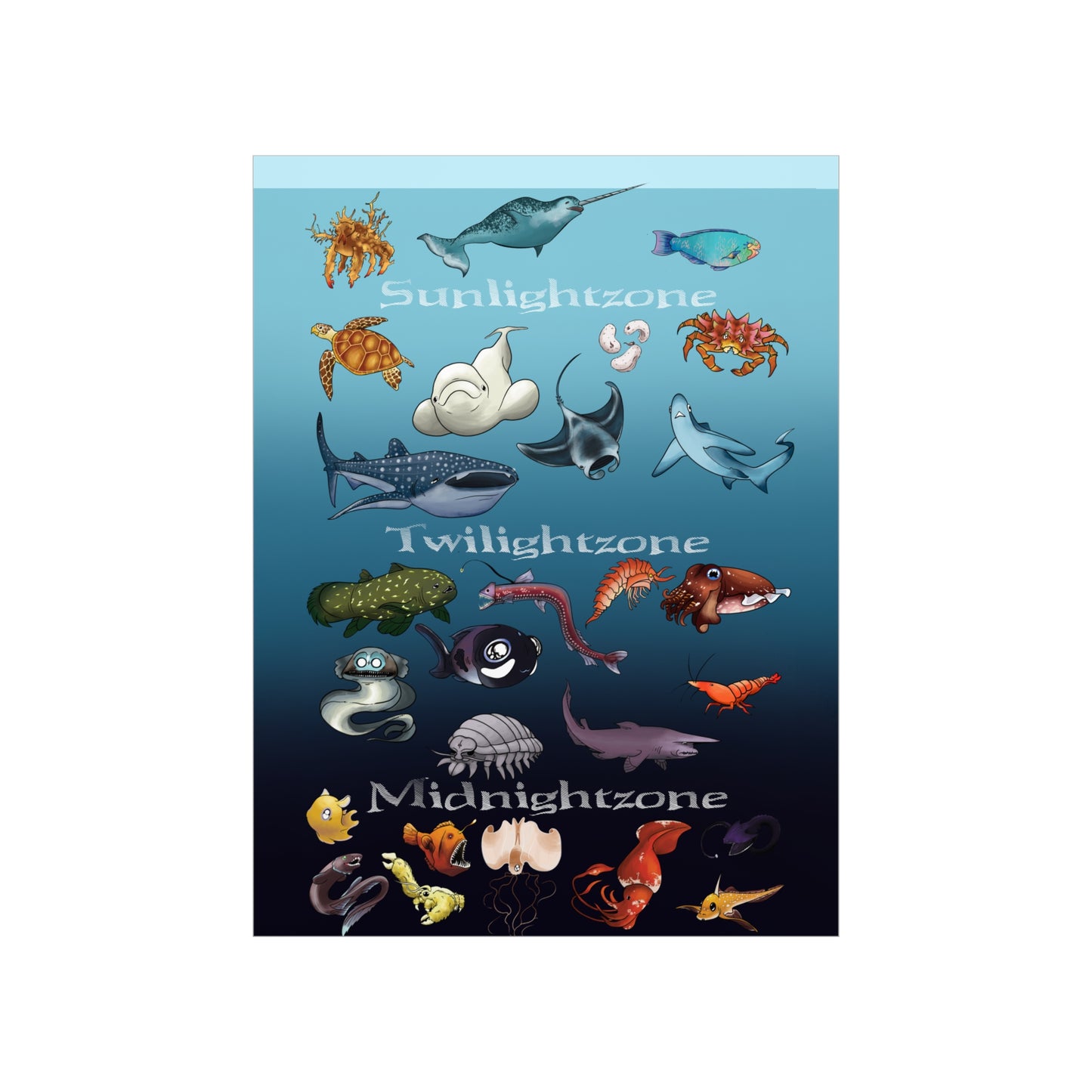 Ocean Zones Premium Matte Vertical Posters