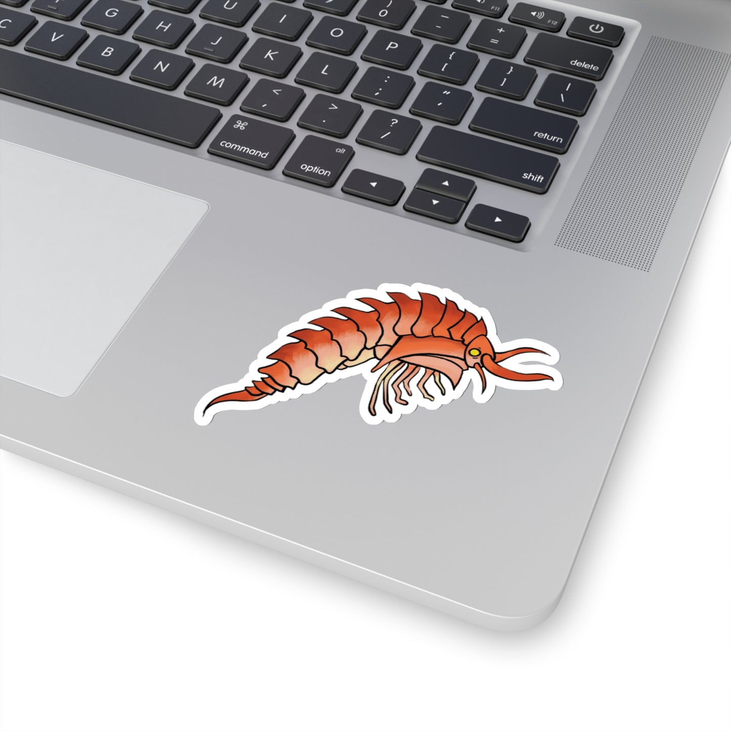 Epimaria Loricata ocean marine animal Kiss-Cut Sticker