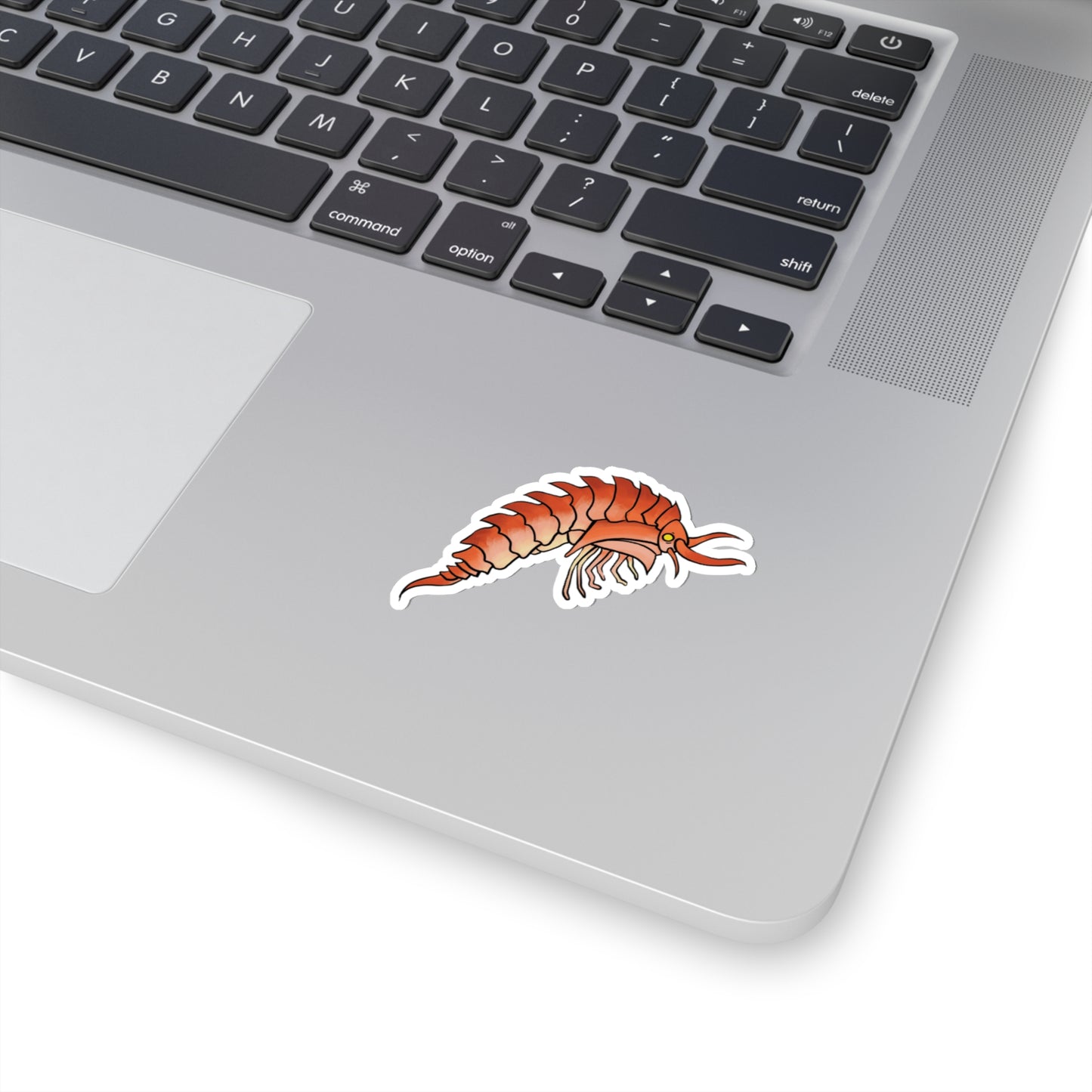 Epimaria Loricata ocean marine animal Kiss-Cut Sticker