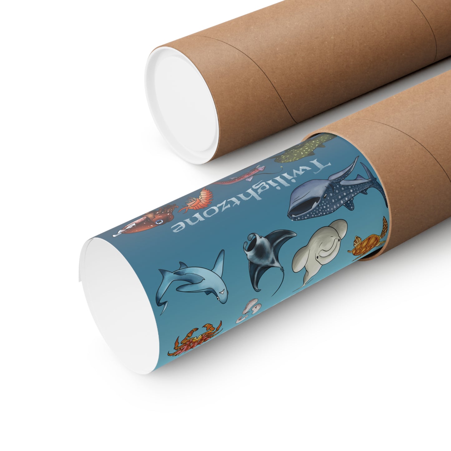 Ocean Zones Premium Matte Vertical Posters
